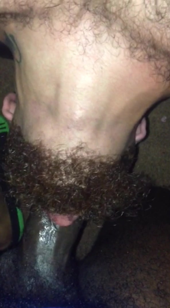 Bearded Cock Suck
