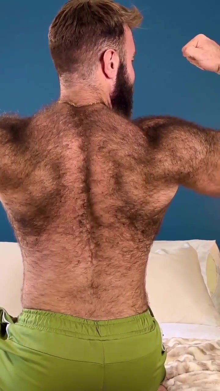 Mr Heavy Hairy Teddy Bear