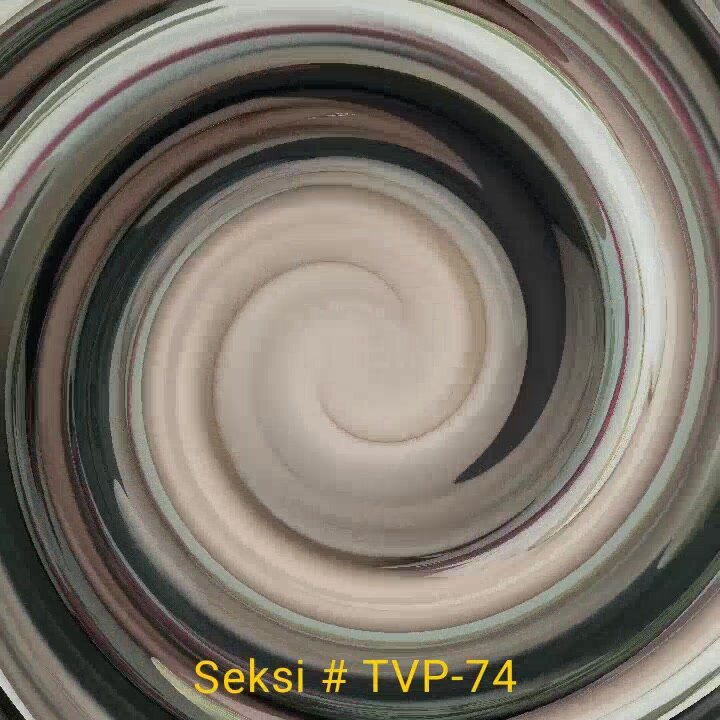 Seksi TVP-74 