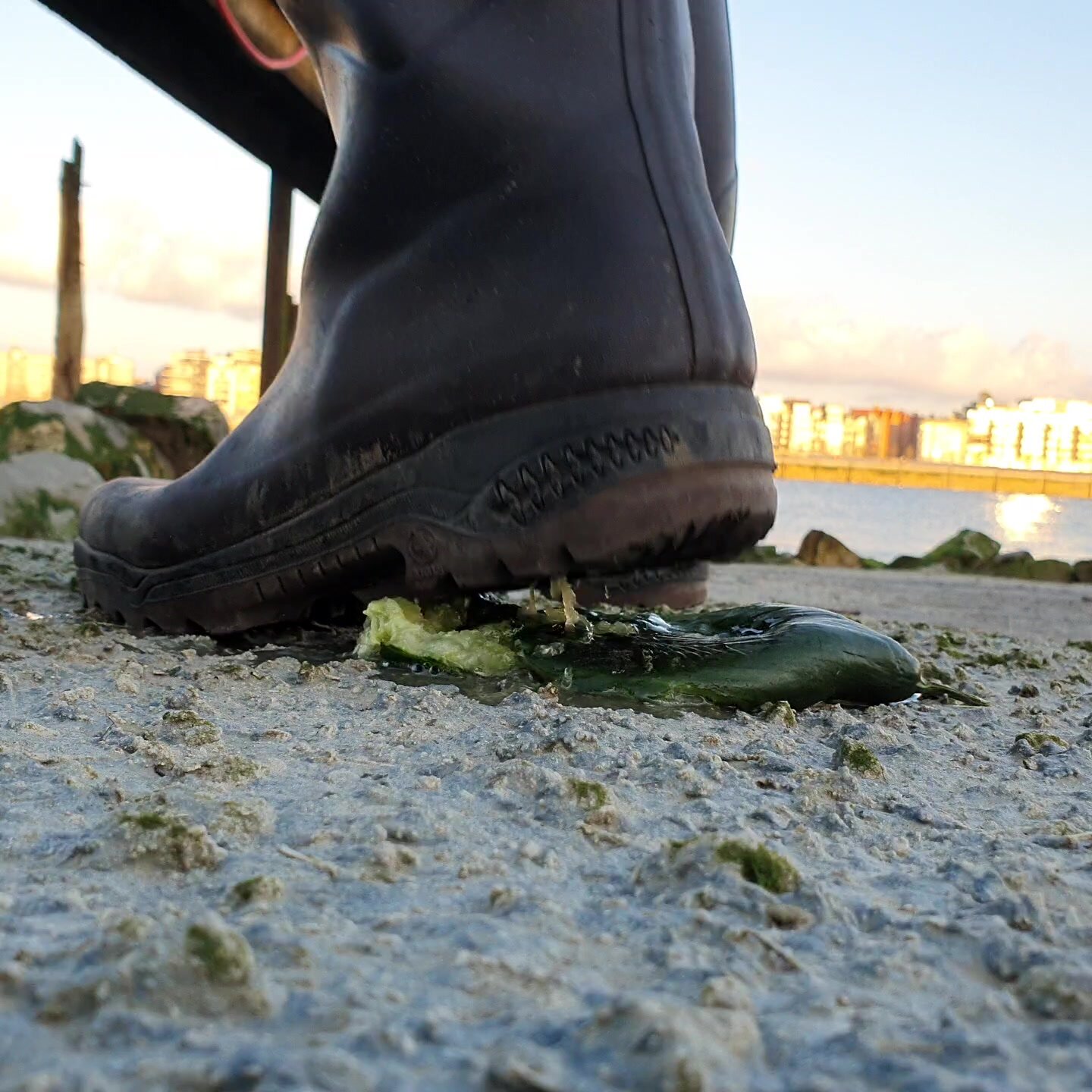 Aigle boots stomp cucumber