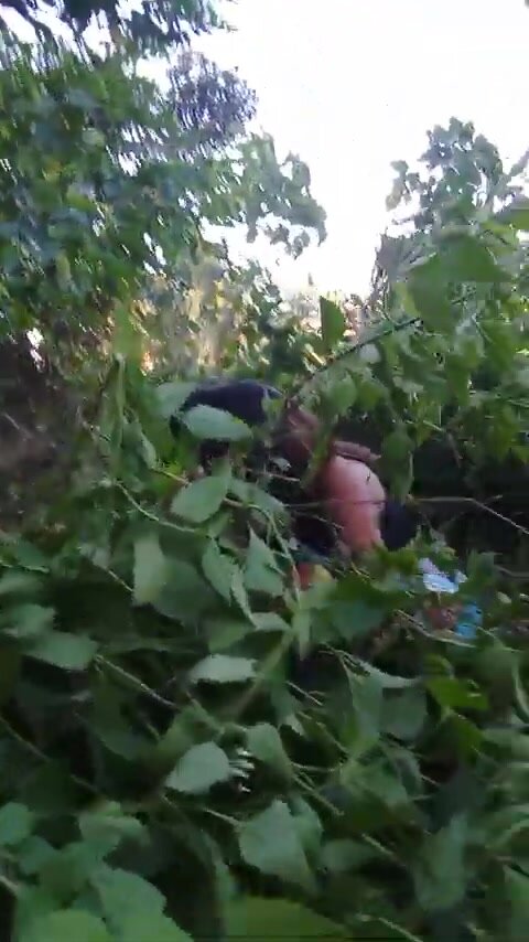 Filipinas pooping in bushes