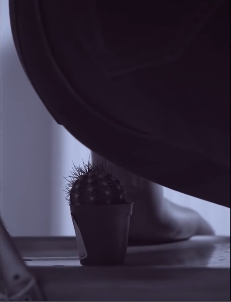 girl cactus buttcrush - video 2