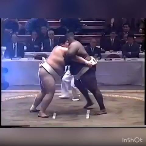 Sumo 500kg match