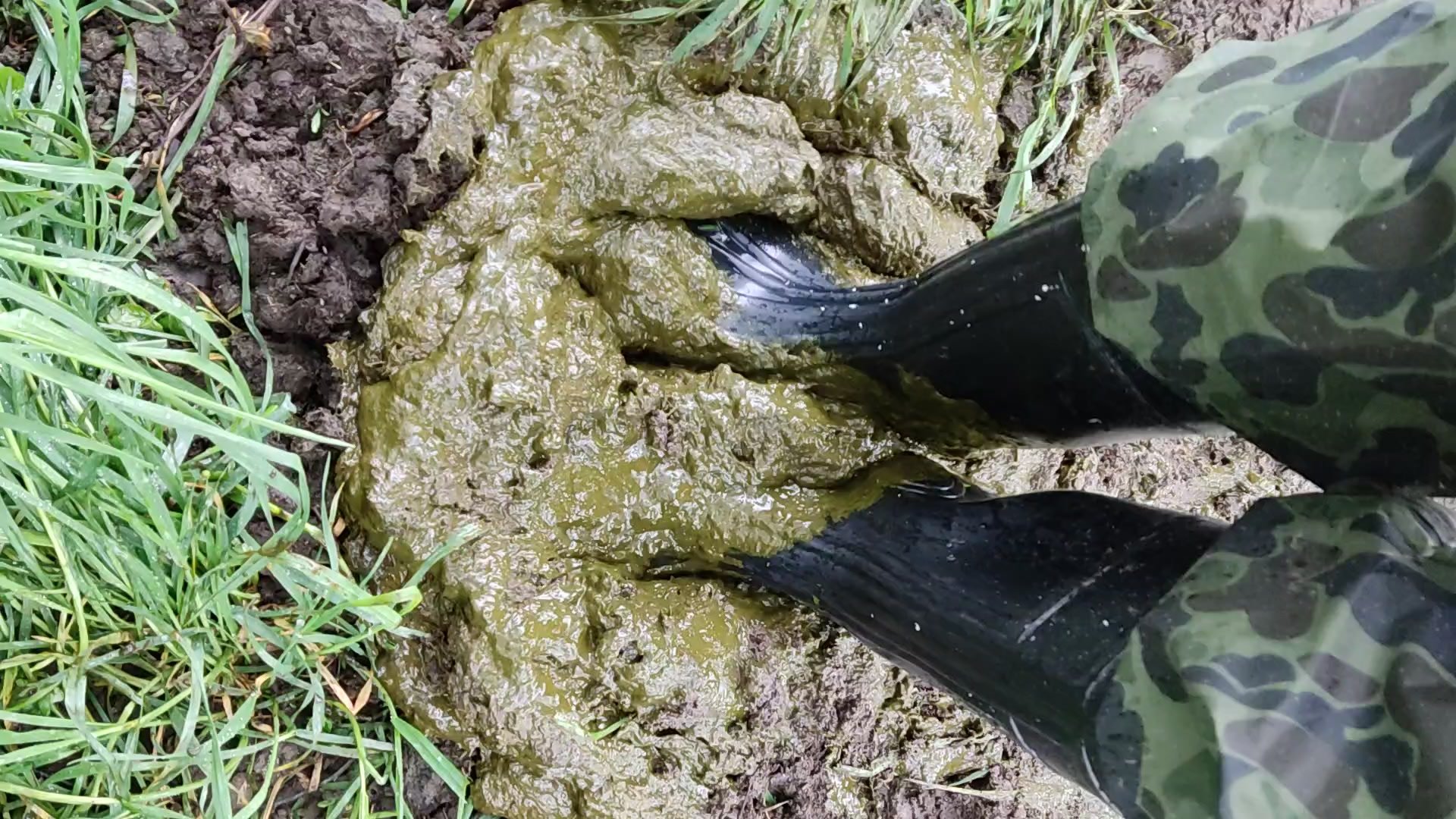 Rubber boots vs cowshit - video 52