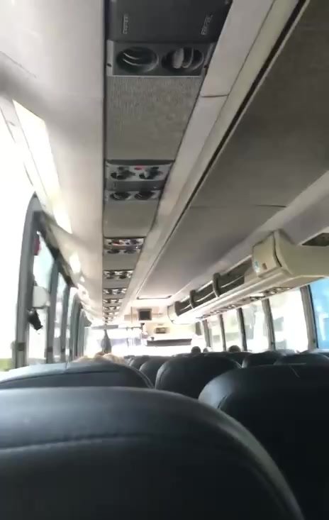 Cruising on the bus - video 4