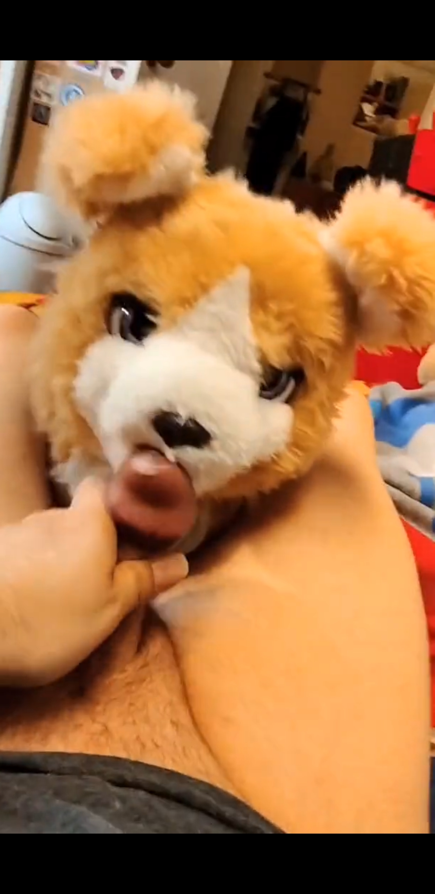 Diaperboy gets head from animatronic puppy