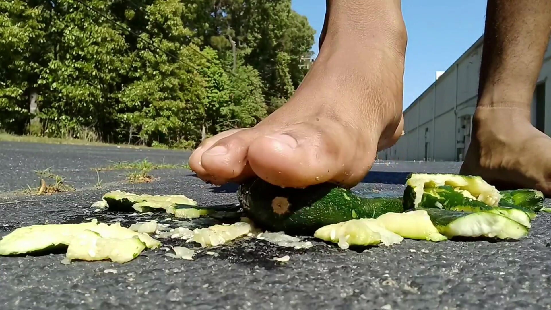 Zucchini - video 3