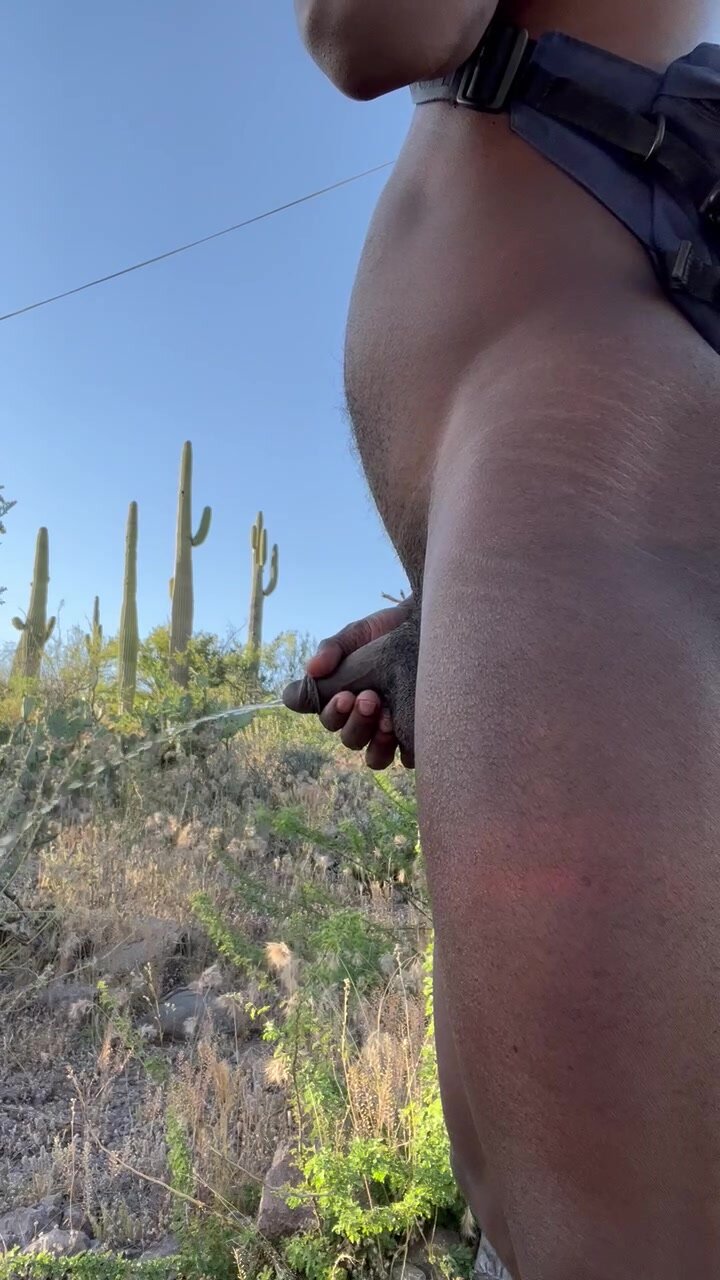 Outdoor Piss in the desert