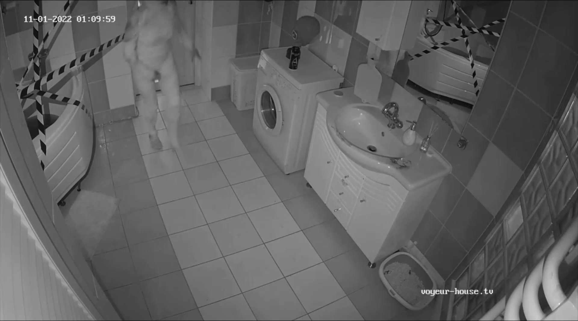 Woman  in Toilet 341