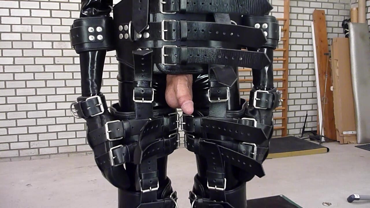 CBT in harness