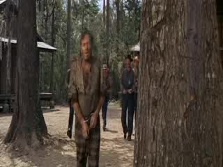 Hard flogging scene from movie Nevada Smith