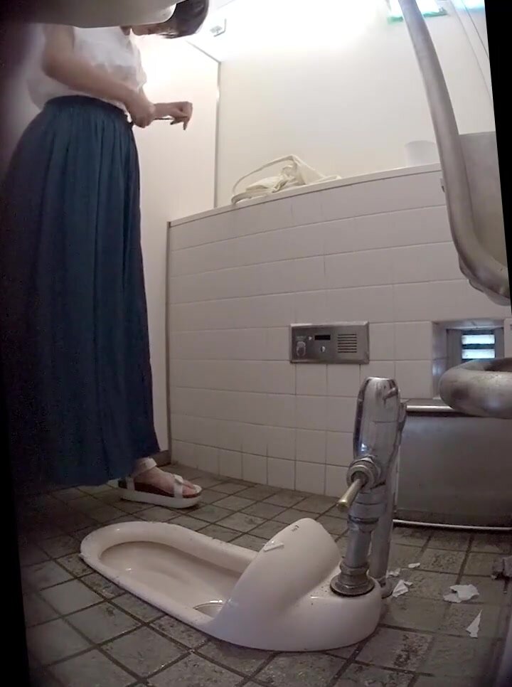 Japanese Ladies Toilet Voyeur - video 213