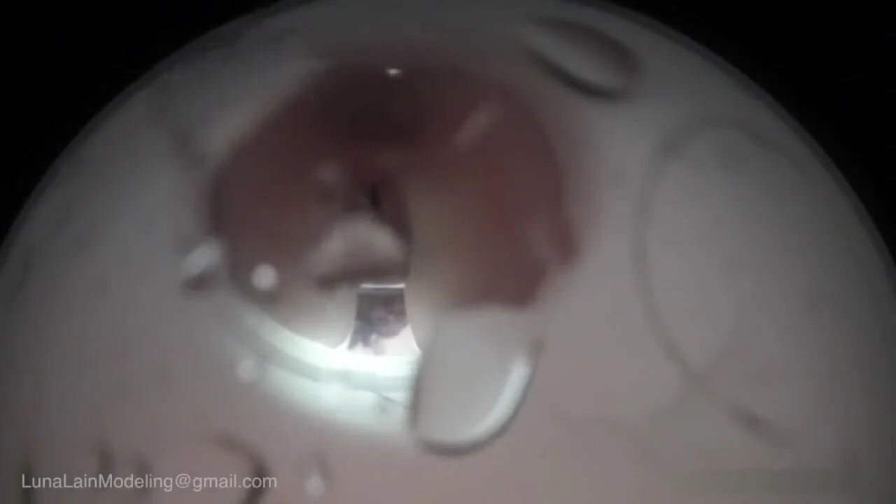 Giantess toilet slave pov