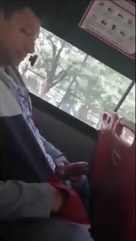 Guy shows off dick in a bus