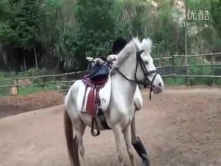 DEBAO pony rider 4