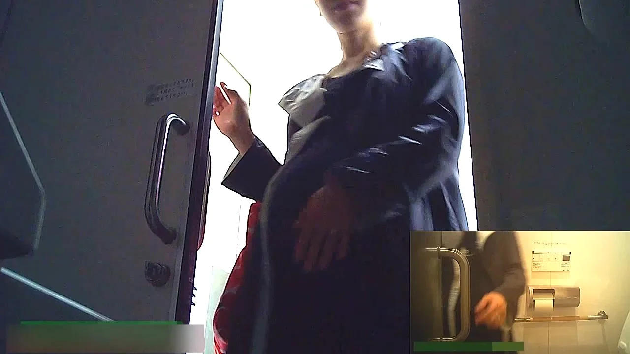pregnant toilet voyeur pooping