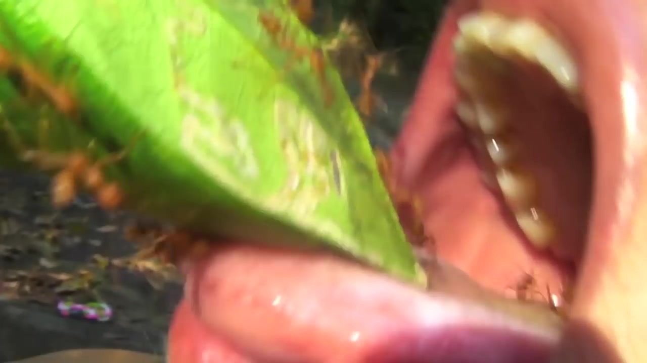 woman eats every ant