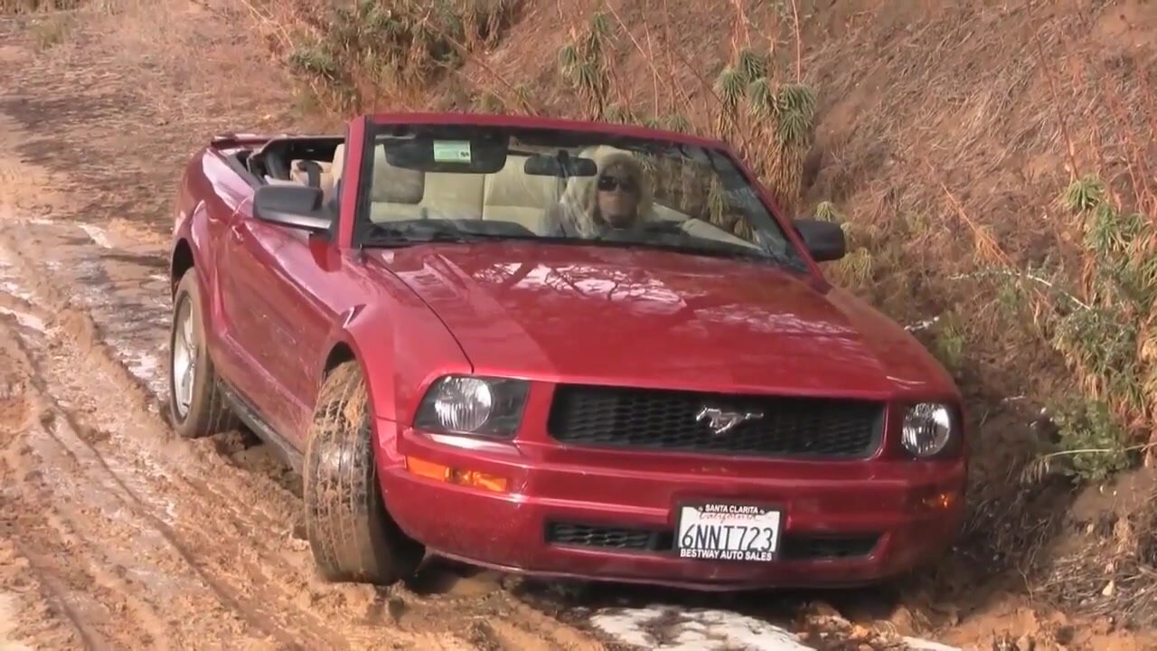 Car stuck - video 5