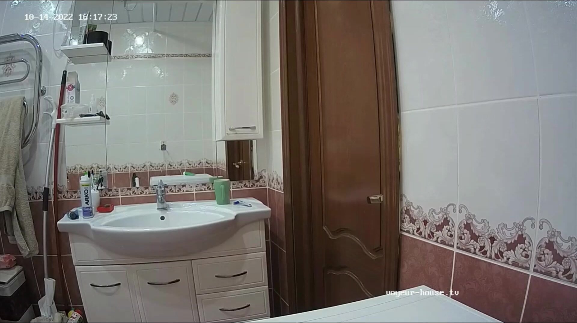 Woman pooping in Toilet 479