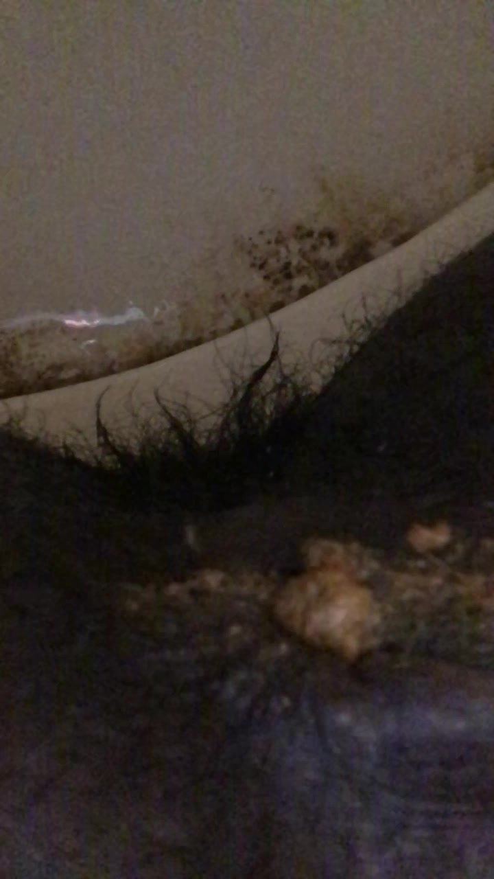 My best friend sent me a video of her shitting
