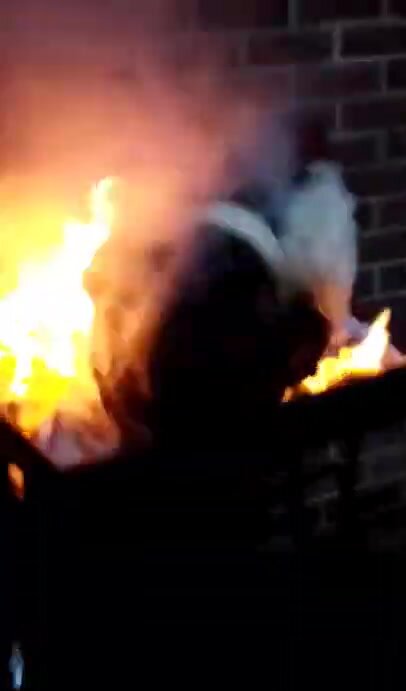 Burning fursuit head Incineration fursuit head - video 2