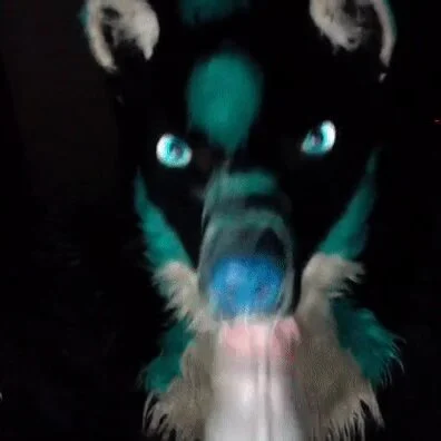 Furry Dog Oral Sex - Fursuit head oral sex - ThisVid.com ä¸­æ–‡