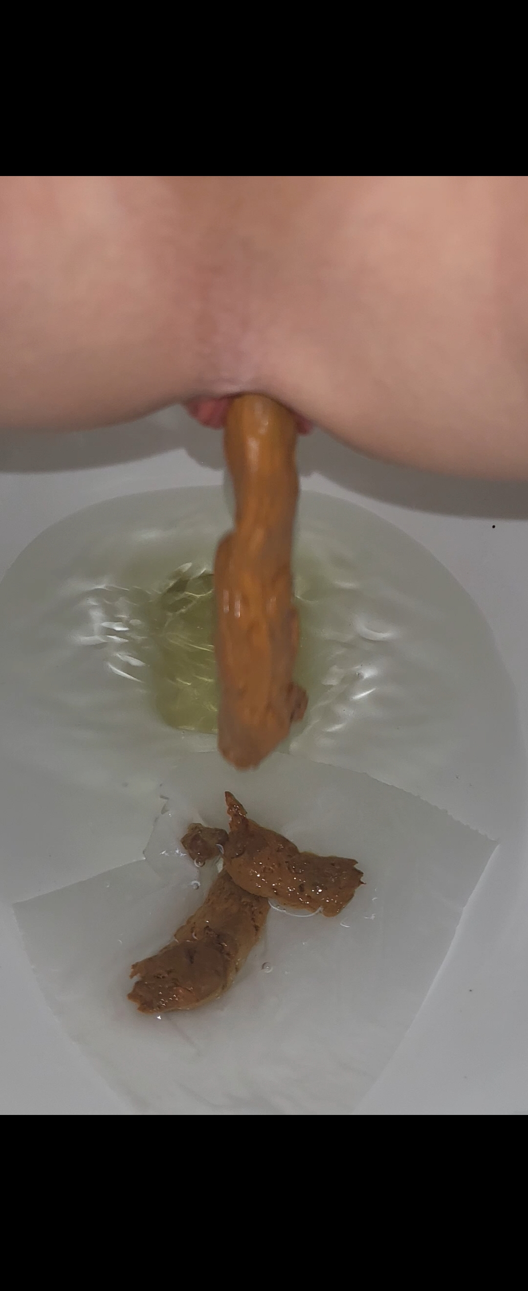 Pooping the toilet