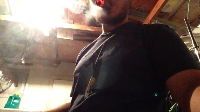 Cigar - video 615