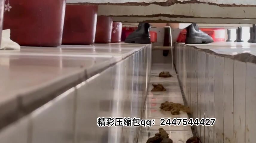 China Indoor Dry Toilet Pt. 2