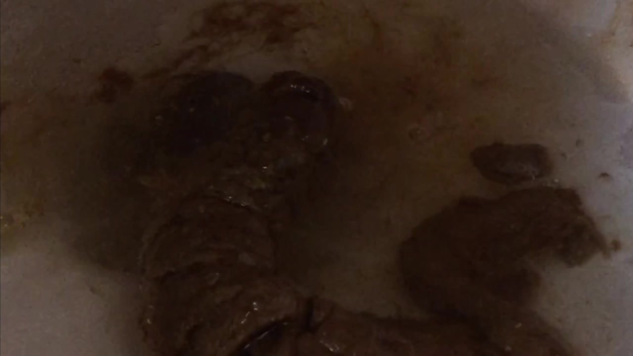 Poop compilation - video 12