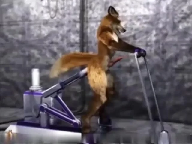 A Fox In The Stable By: Taurin Fox гей порно видео — XGayTube