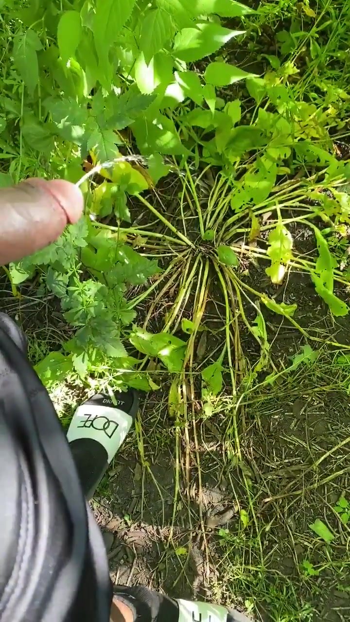 Dude pissing in bushes