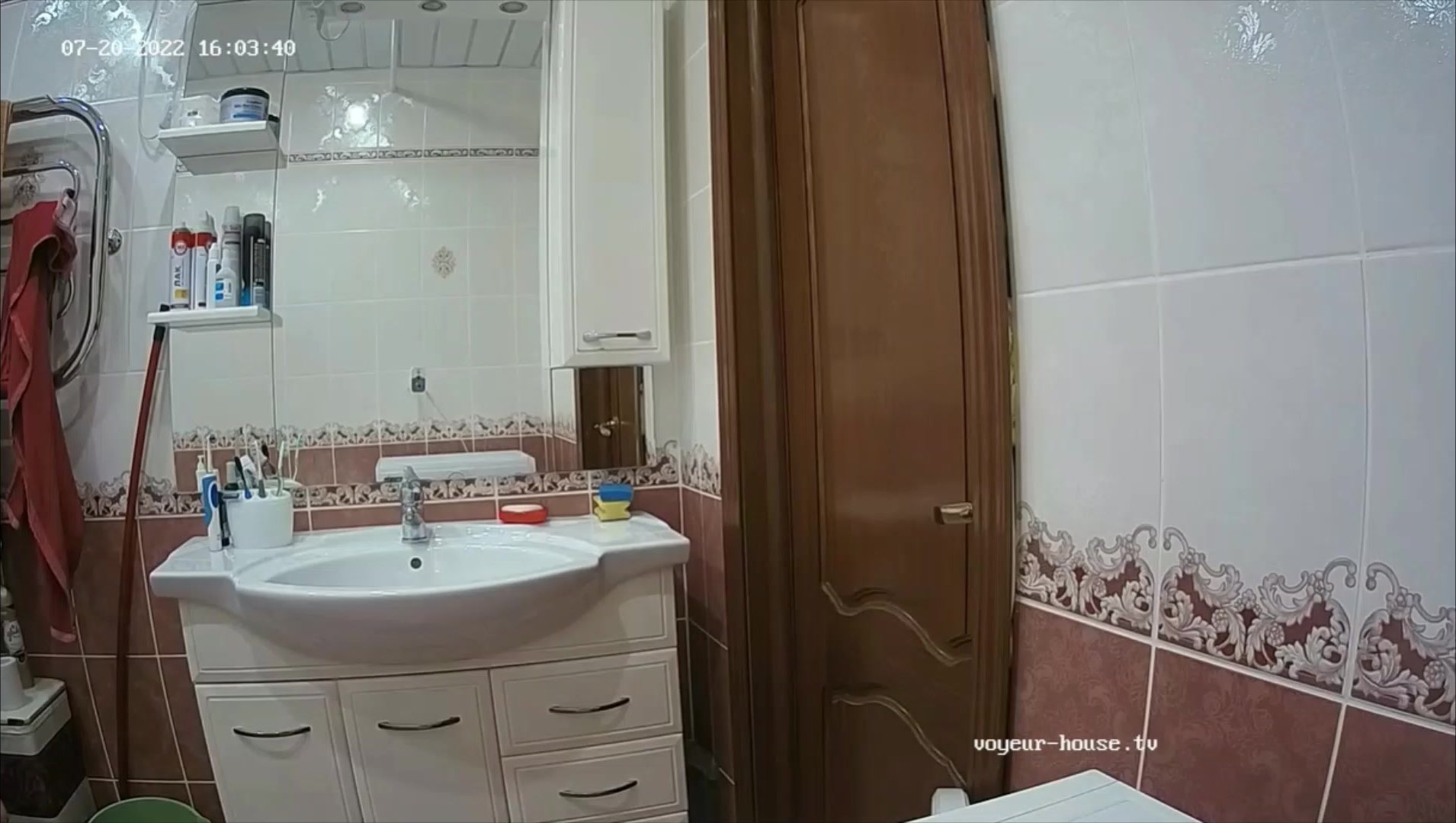 Woman  in Toilet 354