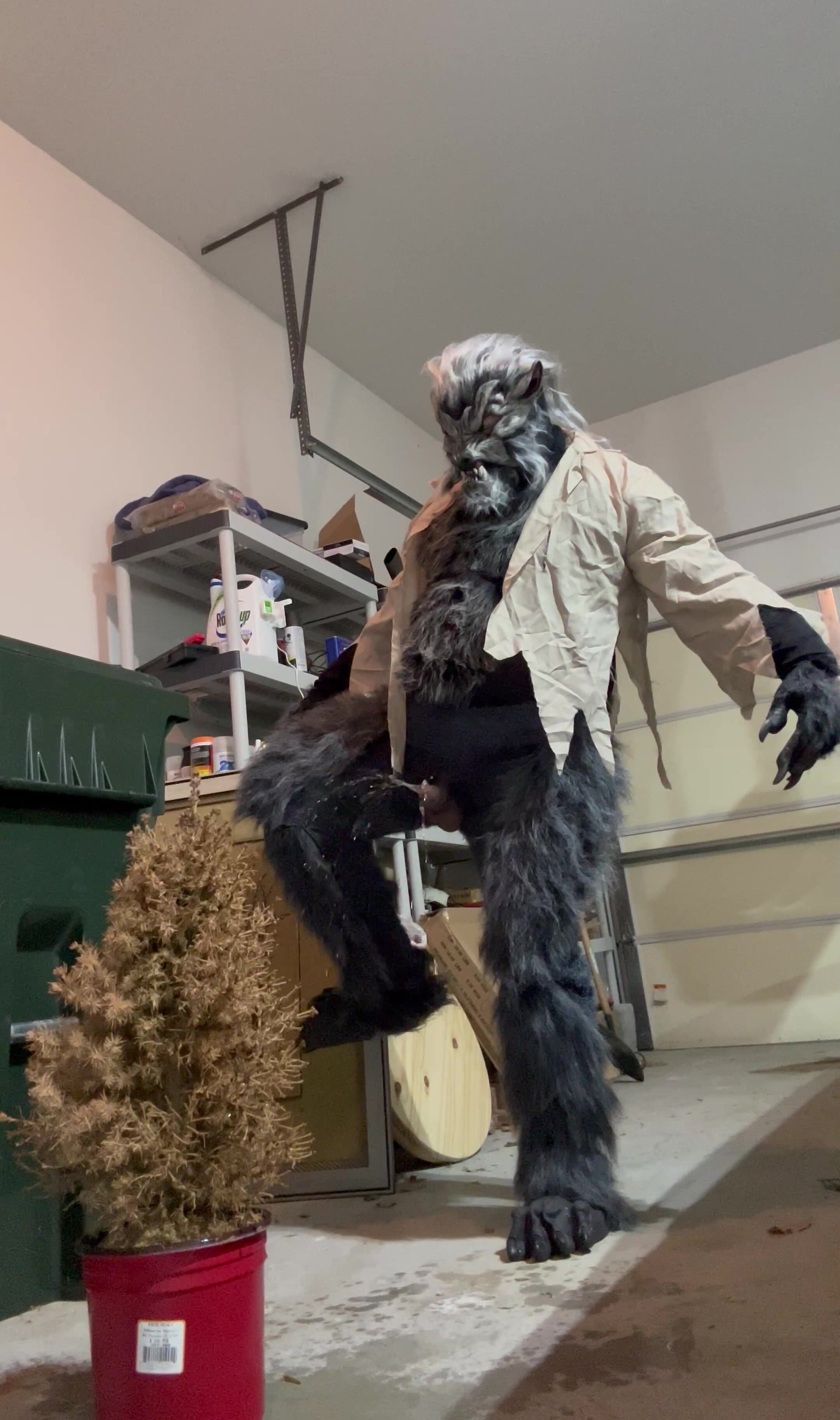 Werewolf marking a tree in his garage