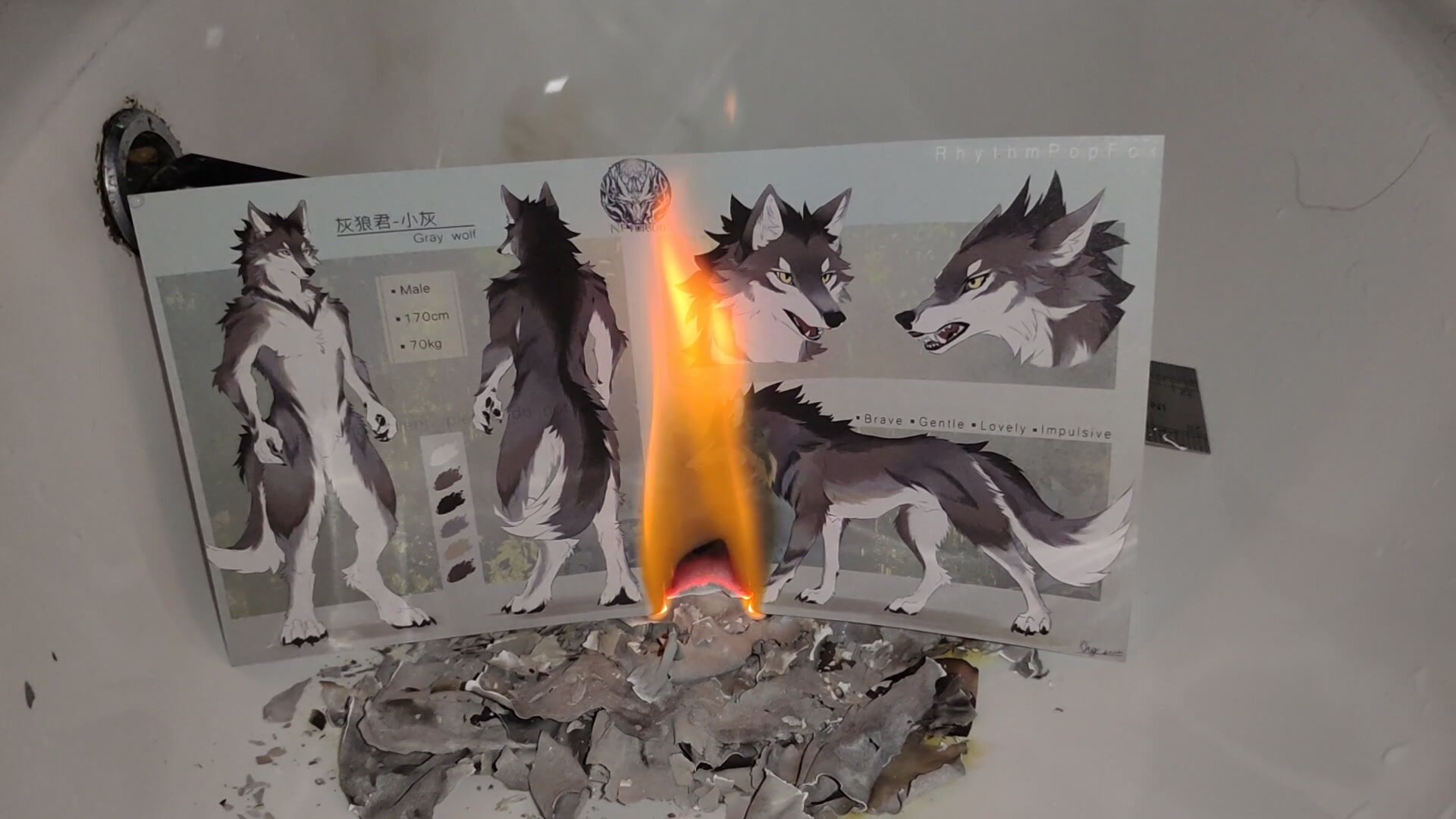Enjoy the process of incinerating the Furry picture - video 11