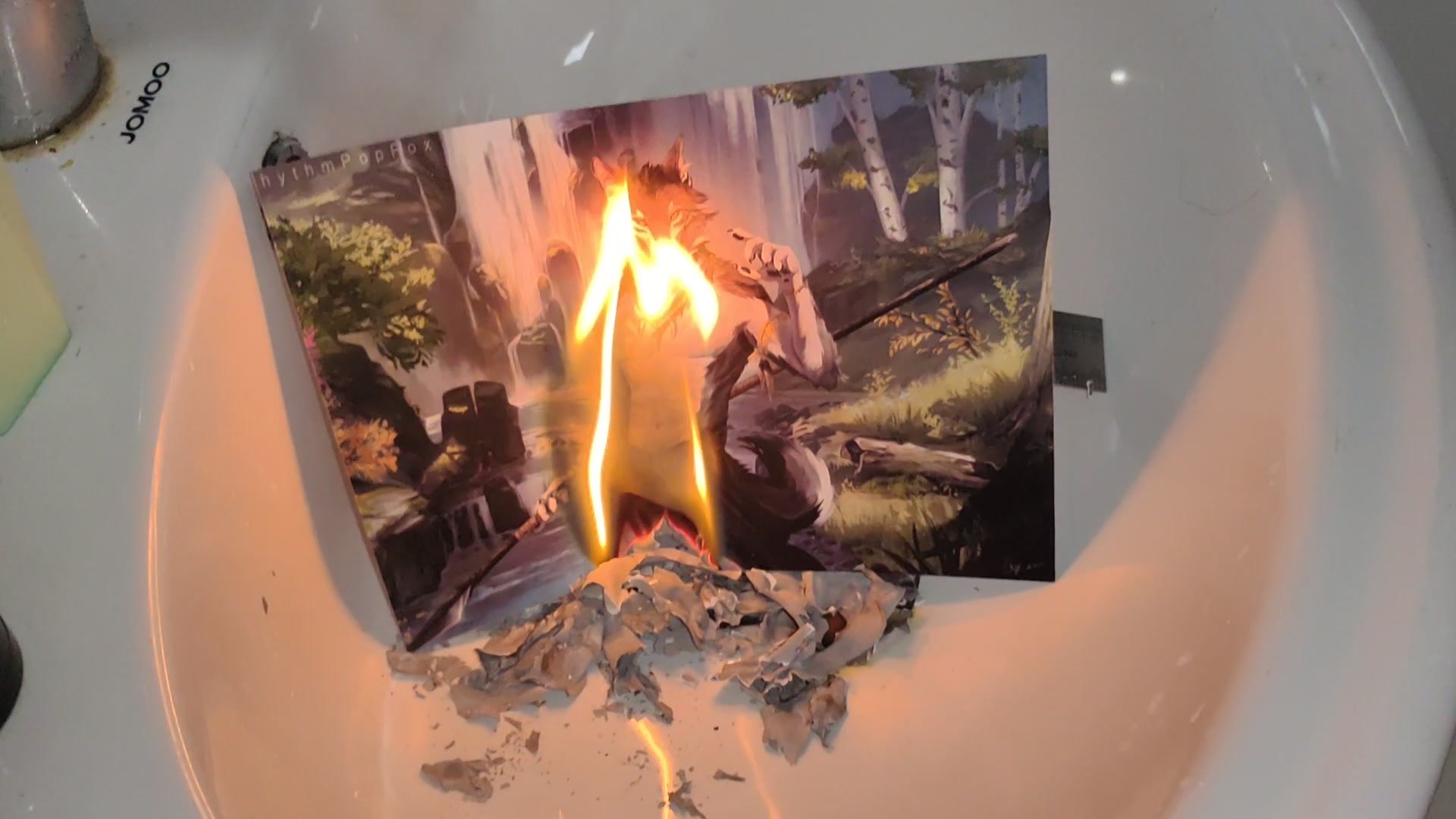 Enjoy the process of incinerating the Furry picture - video 14
