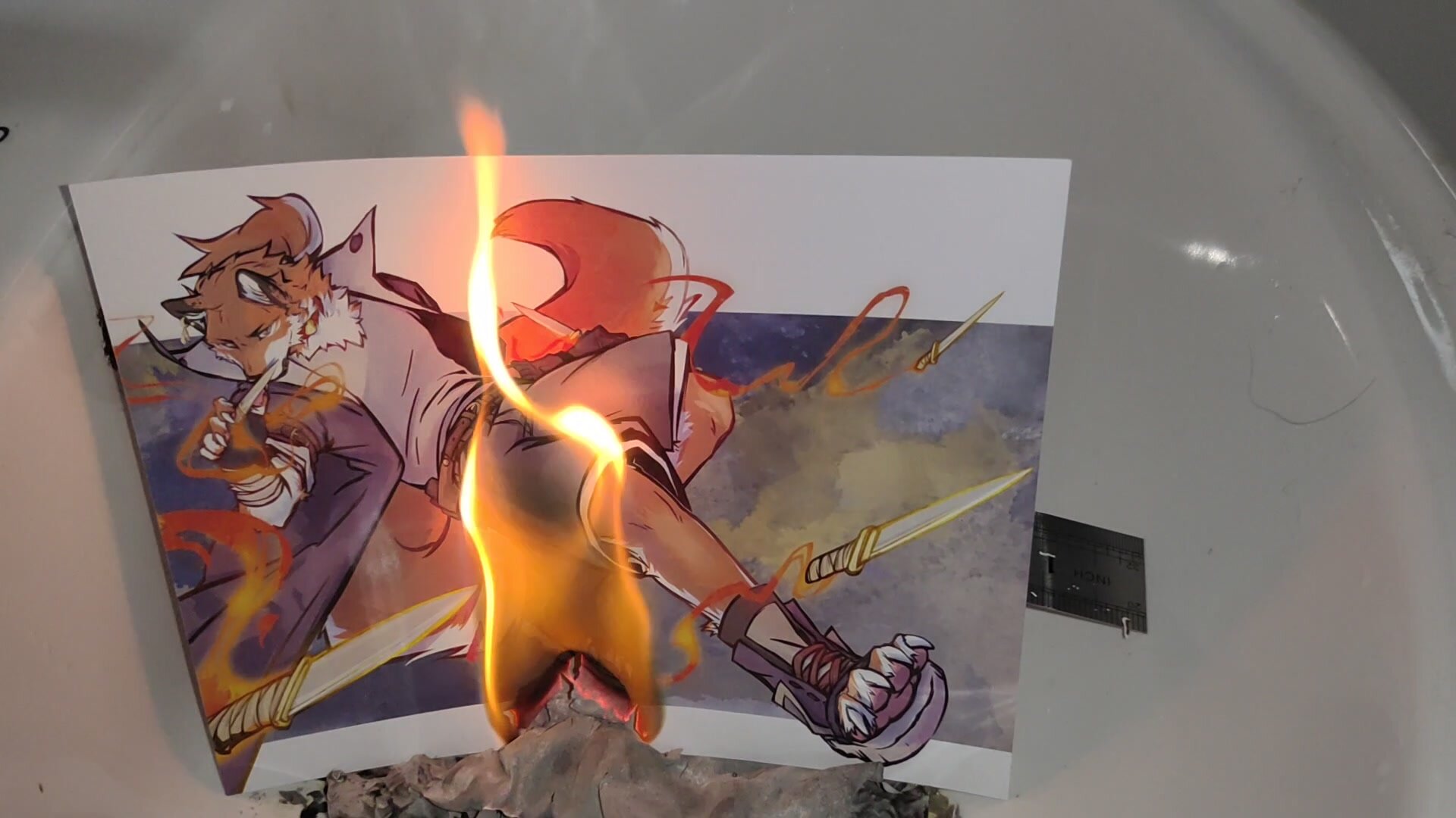 Enjoy the process of incinerating the Furry picture - video 15