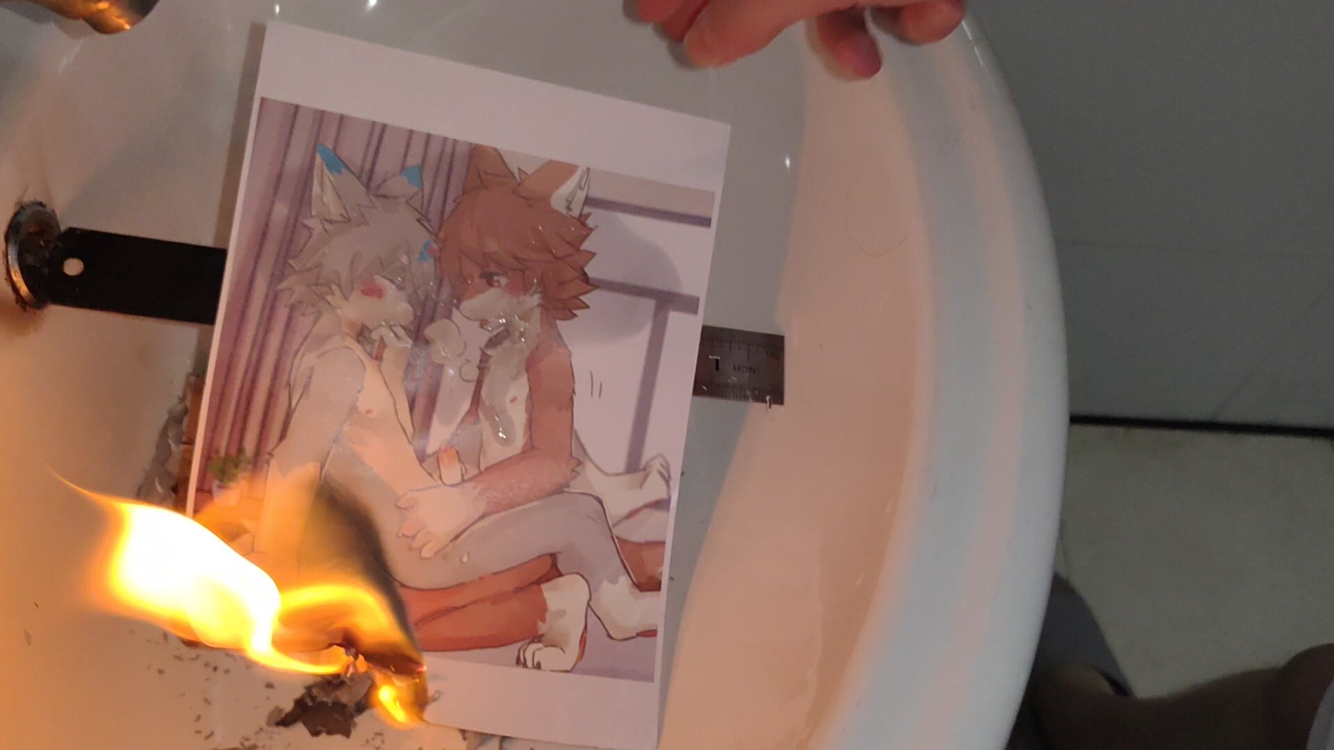 Enjoy the process of incinerating the Furry picture - video 16