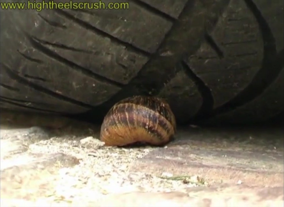 Tires vs snails