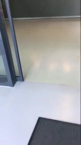 public bathroom floor poop - video 2