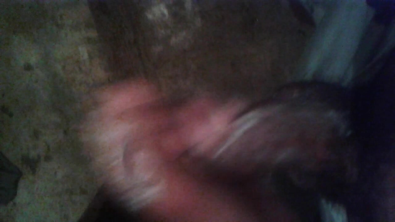 Paja 1