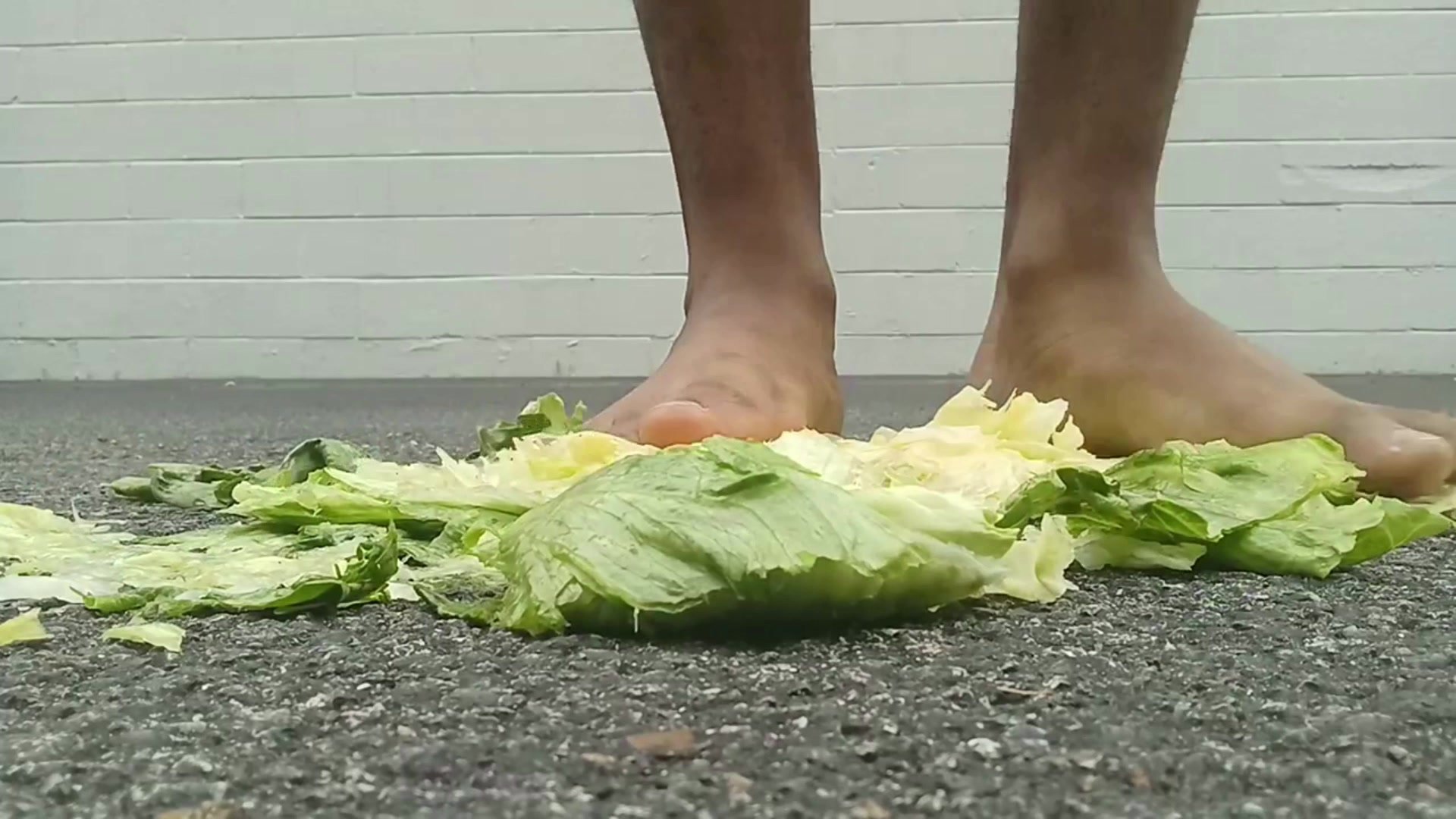 Foot Lettuce