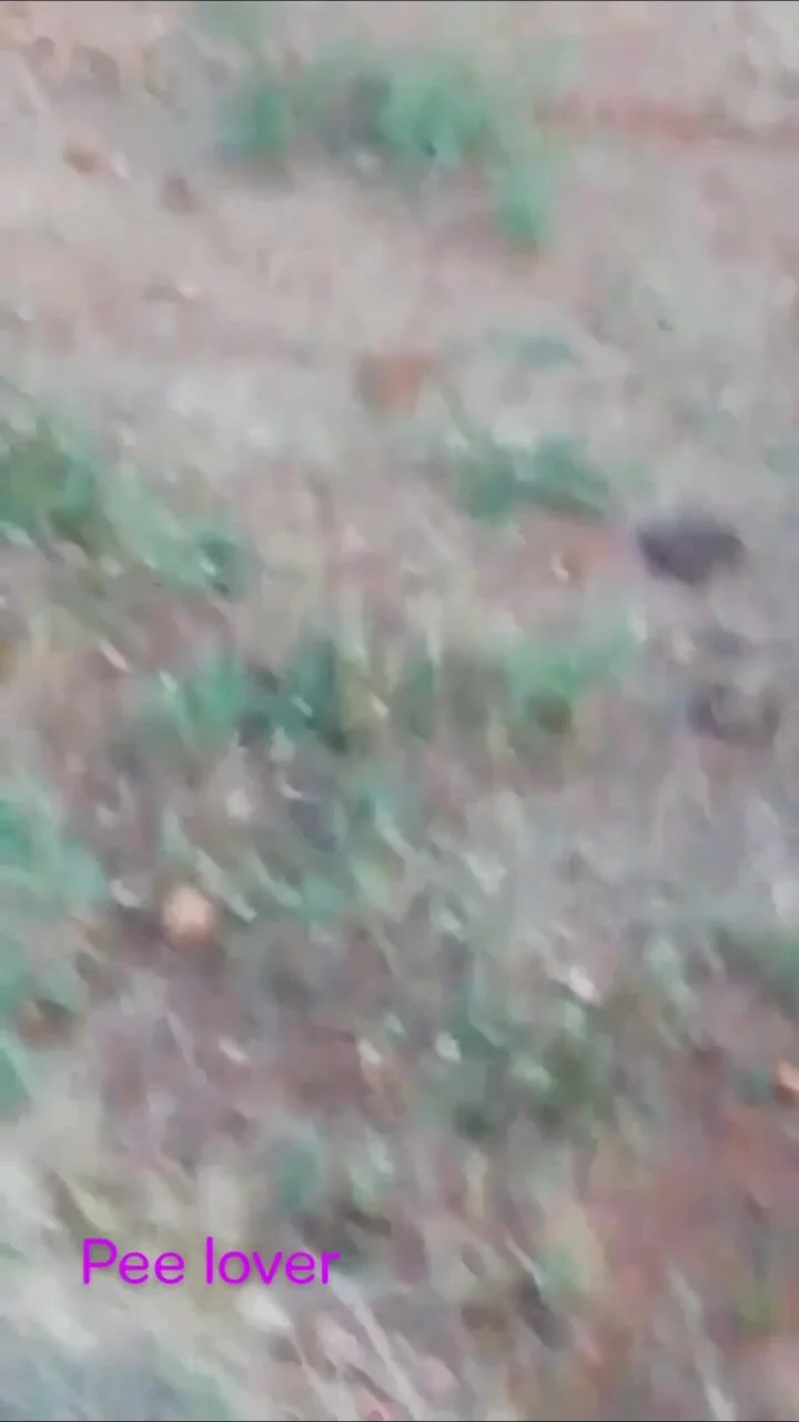 Tamil aunty peeing video