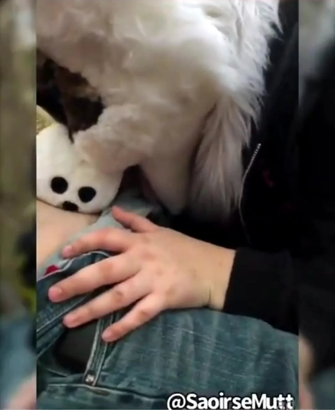 Fursuit female blowjob - ThisVid.com