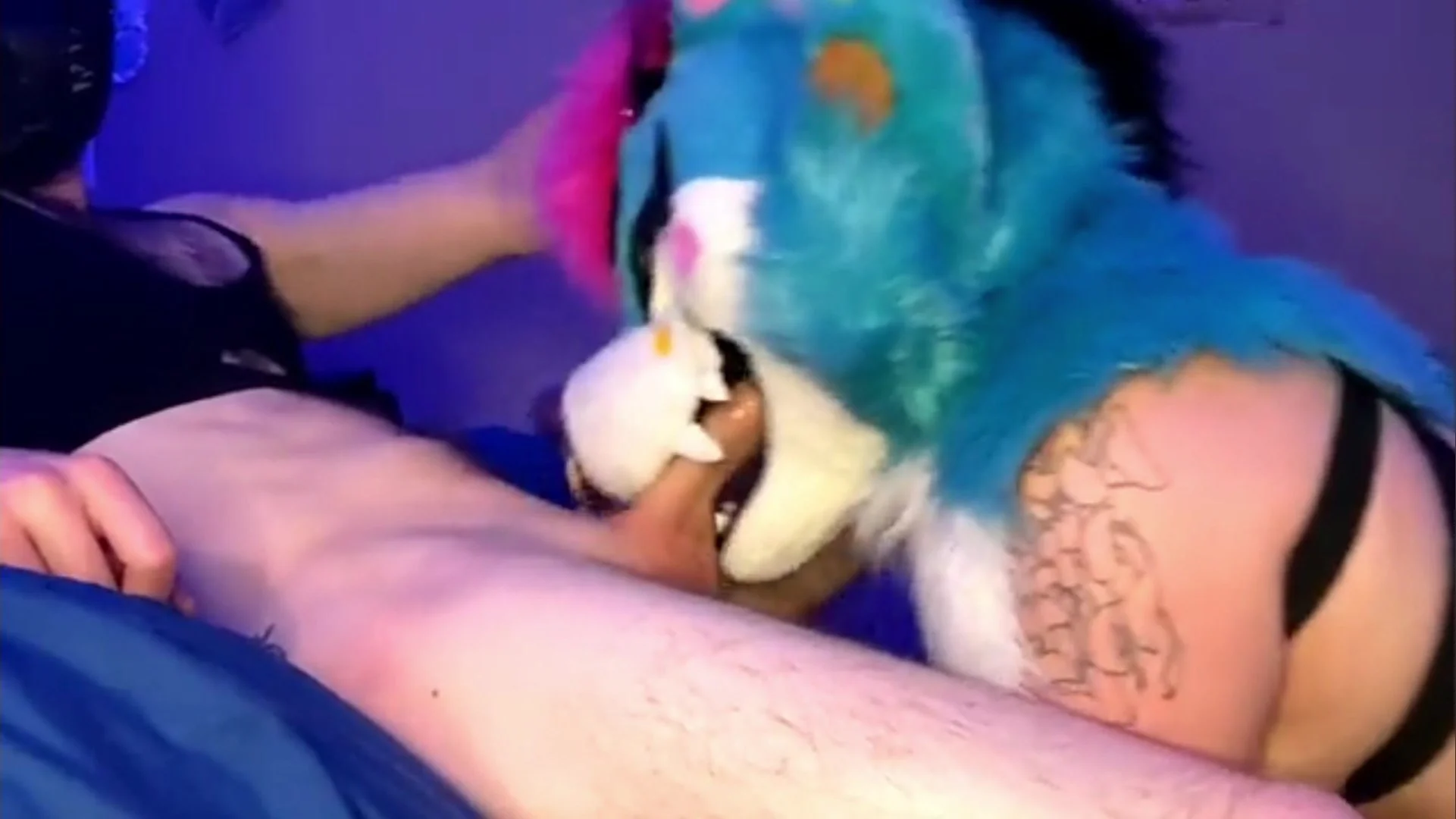 Fursuit bj