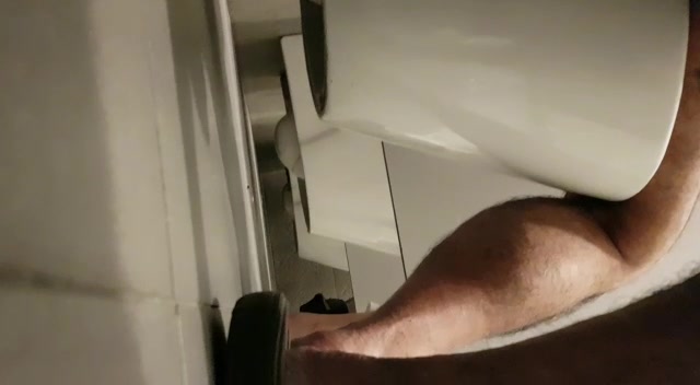 toilet spy - video 462