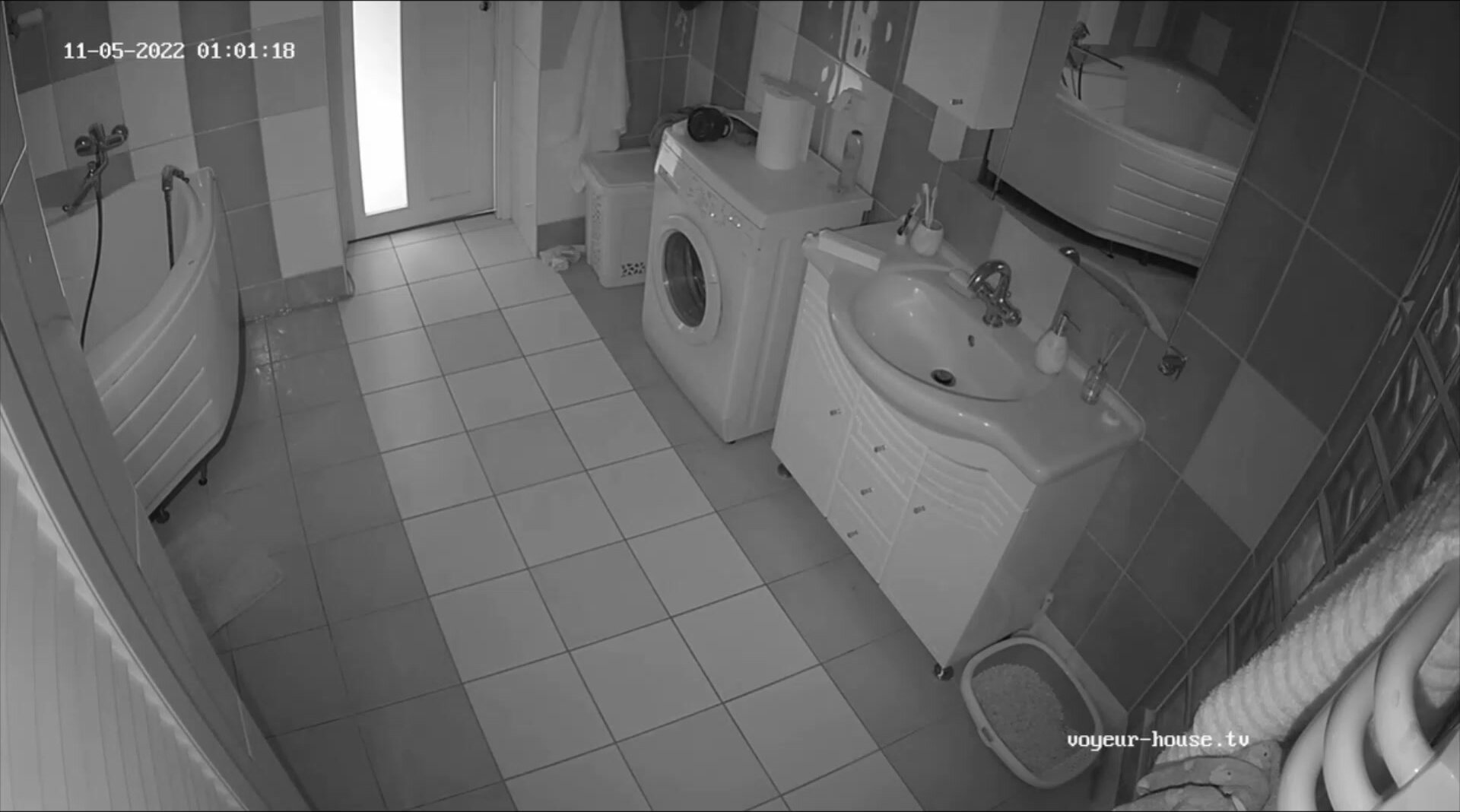 Woman  in Toilet 365