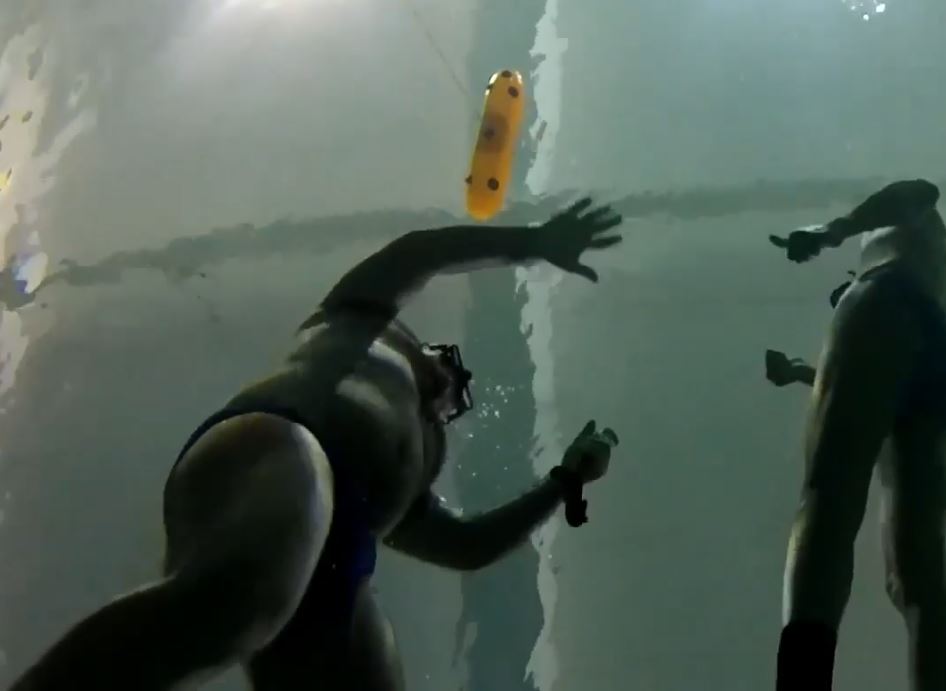 Underwater Men in Speedos