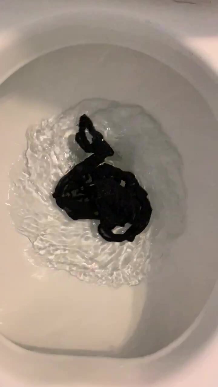 Black Lace Panties Slo-mo Flush