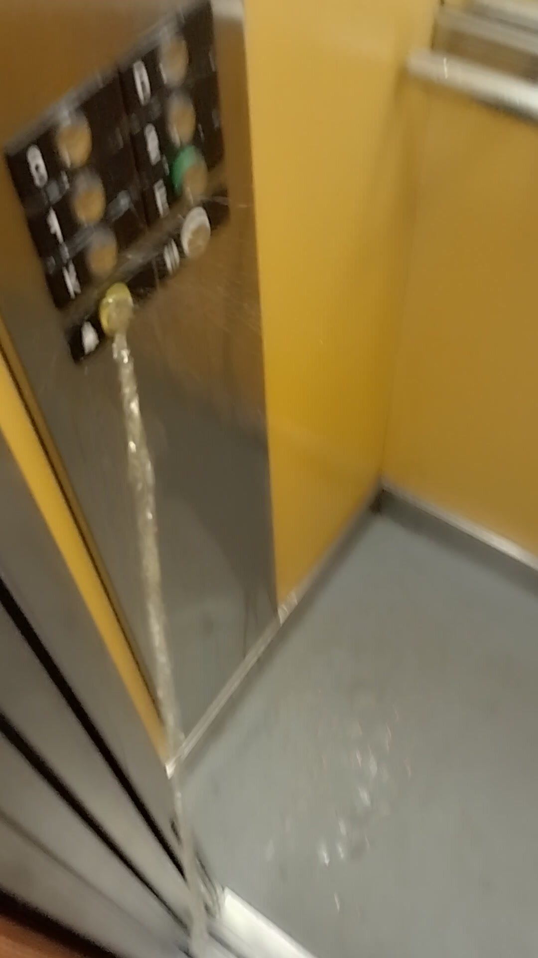 Pissing in Elevator #9